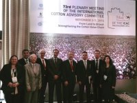 Dünya pamuk tüketimini arttırmak için tanıtım kampanyaları düzenlenecek