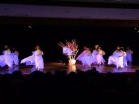 DUYMADILAR AMA KUĞU GİBİ DANSETTİLER...