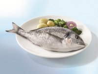 Ege Çipurası doğal afrodizyak