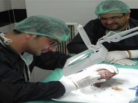 Ege Üniversitesi'nden bir ilk