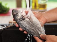 Ege’nin Prensi Çipura dünya sofralarında