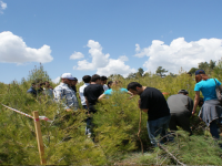 EKOTURİZM'DE YÜKSEK LİSANS FIRSATI