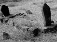 En ölümcül hastalıklar hangileri?