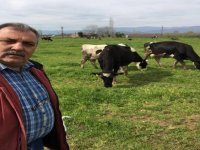 Eskiyörük: İzmir'i gıda sektöründe ihracat merkezi yapmalıyız