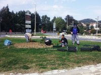 Foça çiçekleniyor