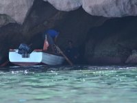 Foça fokları gözlem altında...