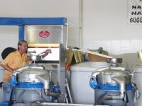 Foça’da erken hasat ilk zeytinyağı sıkımı gerçekleştirildi