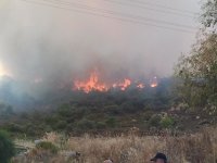 FOÇA'DA ORMAN YANGINI