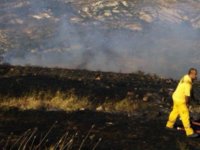 FOÇA'DAKİ YANGINDA 3 HEKTAR MAKİLİK ZARAR GÖRDÜ