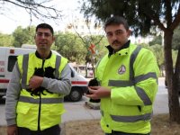 Gemide doğan kedilere yuva aranıyor...