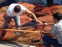 Gırgır balıkçılarının ağları belgelendi