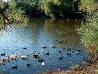 Görenleri kendisine hayran bırakıyor...