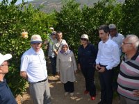 Güldal: Biyoteknik mücadele yapın, desteklemelerden faydalanın