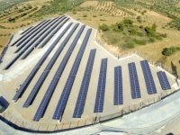 Güneşten Ormanlar 890 bin kilovat elektrik üretti