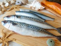 Haftada iki gün balık, yaşam boyu sağlık