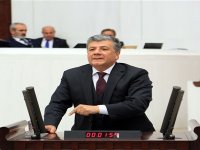 Hasta ağaçlar, meclis gündeminde