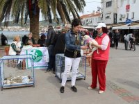 HAYAD minik köpeklere yuva buldu