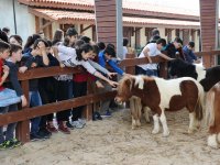 Hayvan sevgisine engel yok