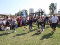 Hayvanseverler Pati Festivali’nde buluştu