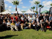 Hayvanseverler Patifest’te buluştu