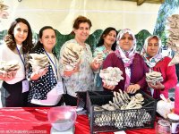 Hem sağlık hem lezzet