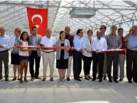 Her yıl 1500 ağaç doğaya kazandırılacak