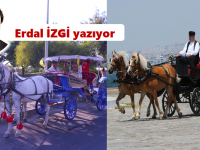 İki  yakanın atları...