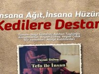 ''İnsana Hüzün, İnsana Ağıt, Kedilere Destan''