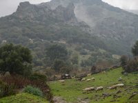 İzmir Barosu: Yamanlar, suyu lezzetli çöpsüz bir dağ olarak kalmalıdır