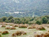 İzmir Barosu'nun Yamanlar Katı Atık Tesisi'yle ilgili talebi kabul edildi