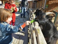 İzmir Doğal Yaşam Parkı öğrencilere ücretsiz...