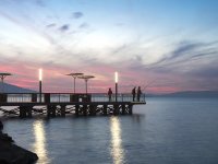 İzmir Körfezi’ndeki iyileşme devam ediyor