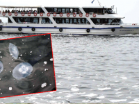 İZMİR KÖRFEZİ'Nİ DENİZ ANALARI BASTI