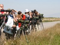 İzmir Kuş Cenneti’nde “Foto Safari” zamanı 