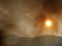 İzmir'de orman yangını!..