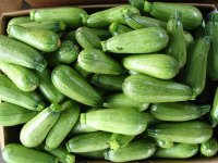 İzmir'de zam şampiyonu kabak