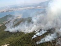 İzmir'deki orman yangını devam ediyor