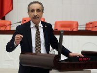 İzmir'e çağdaş müze önerisi