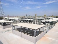 İzmir’in İlk Hayvan Mezarlığı