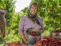 İzmir'li çiftçiler lider çıktı...
