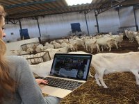 İzmirli çobanların projesi mecliste görücüye çıkıyor