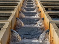 İZSU'dan çağrı: Suyumuza sahip çıkın! 