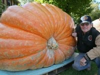 Kabağı görenler gözlerine inanamadı