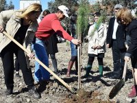 Kadınlara özel hatıra ormanı