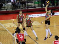 Kaf Kaf filede Rota Koleji karşısında