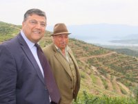 Kamil Okyay Sındır: ''Gelin oy verin…''