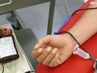 KAN STOKLARI YARIYA DÜŞTÜ