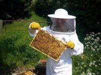 Karşıyaka Belediyesi’nden arıcılara destek