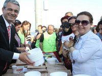 Karşıyaka Belediyesi'nden kedi evleri...