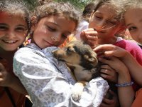 Karşıyaka Belediyesi'nden sokak hayvanlarına daha iyi hizmet için seferberlik...